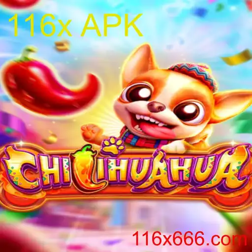 CHILIHUAHUA